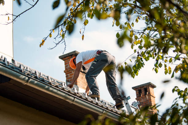 Best Roof Waterproofing Services  in Chester Center, CT